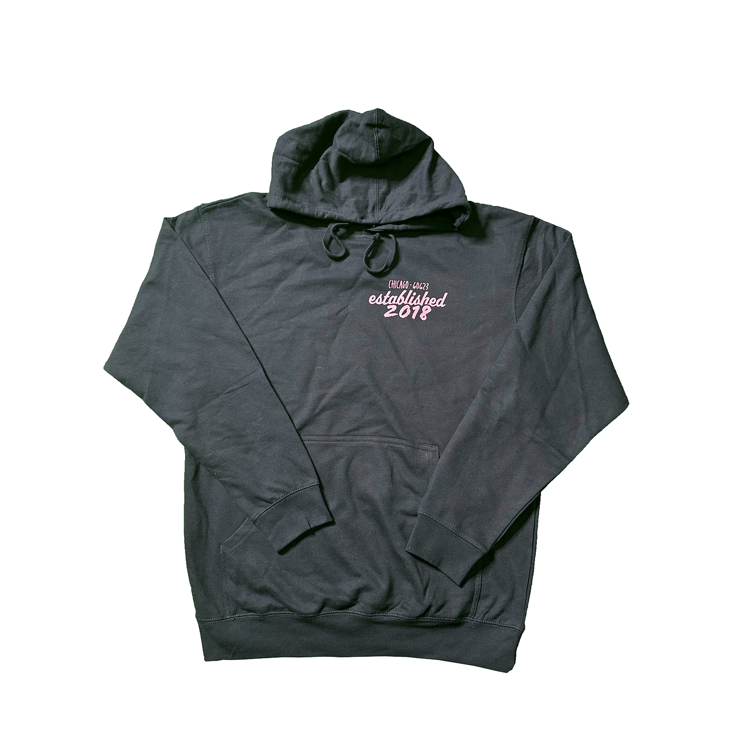 Established 2018 Hoodie - Adult